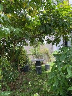 Highway View Transit Kiribathgoda - 4