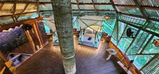 Casa del árbol - Kiosko el Tacana - 8