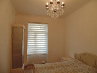 Old city apartment near boulevard - Baku - 1