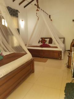 Liyara Home Stay - Sigirîya - 3