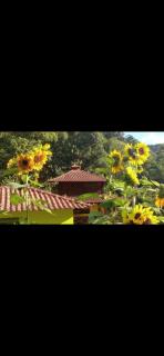 Chalé brilho d'água - 3