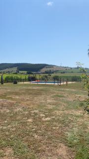 La mies de Meruelo - 8