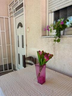 Vila Rada, Kadinjača - Užice - 7
