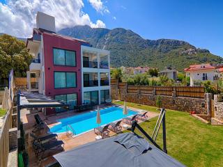 Private Luxury Villa with Large Pool, Jacuzzi and Barbecue in Fethiye Ölüdeniz - Fethiye - 3