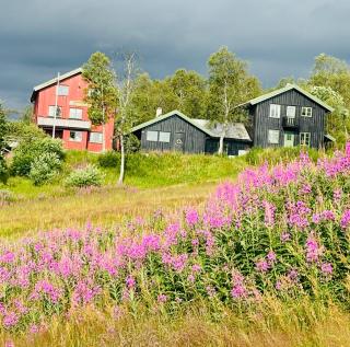 Møsstrond Turisthytte - 4