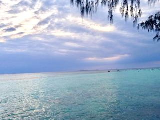 Miska Zanzibar - 4
