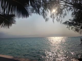Miska Zanzibar - 3