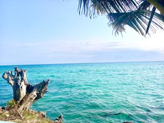 Miska Zanzibar - 2