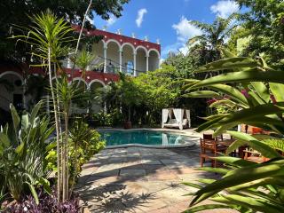 VILLA MERIDA BOUTIQUE HOTEL - Adults Only - Mérida - 8