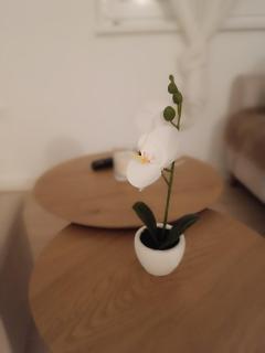 Apartman Sara - 1