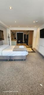 Lovely Commodious, Private Charming Studio, En Suite - Hillsborough - 3