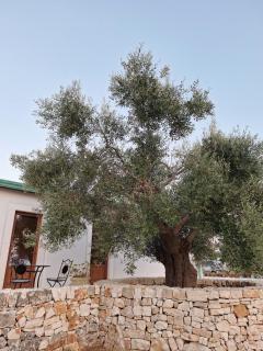 Resort Masseria Cecato - 8