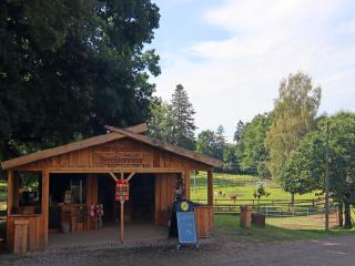 Ferienhaus nahe Schlosshotel Wendorf Golf, cleaning included - Wendorf - 4