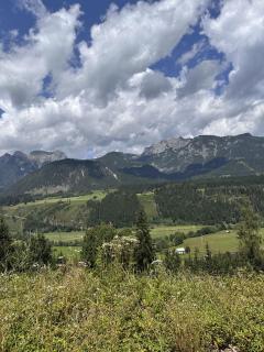 Alpenlodge Haus mit Sommercard - 1