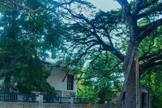 Nimala Holiday Homes - Nikawatawana - 0