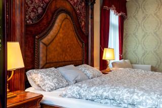 Kings Retreat Royal Stay in Karlovy Vary - Karlovy Vary - 9