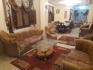 Family House - Sheikh Zayed - 0