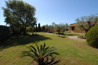Il Girasole - Venturina Terme - 2