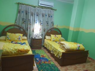 Family House - Sheikh Zayed - 3