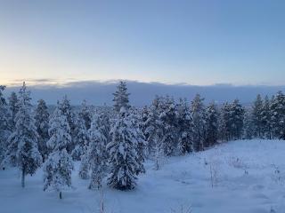 Hillside Polar Villa - Rovaniemi - 5