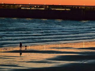 2 bedroom apartment by the cliff in kent - Hougham - 4