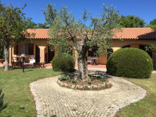 Il Girasole - Venturina Terme - 0