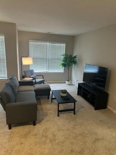 Relax & Work Cozy 1 BR Apt - 0