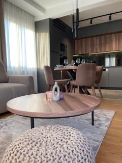 Apartman Boutique Arandjelovac - 1