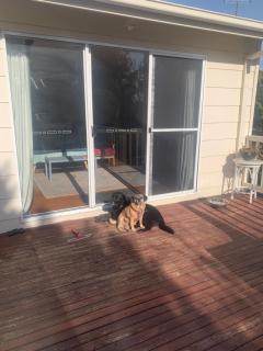 Phillip Island Central Cowes Pet Friendly Wifi Linen Towels Included Beach House - 8