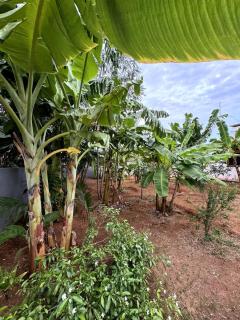 New 3-Bedroom House in Jaffna near Nallur Kovil - Jaffna - 6