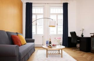 Bright Calm Apartment with Free Parking - Vienne - 0