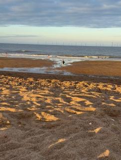 Sandy Haven - 9