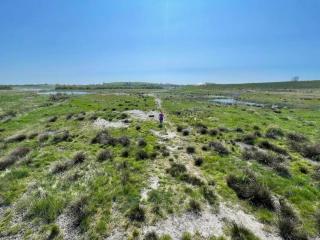 4 person holiday home in Ringkøbing - 5