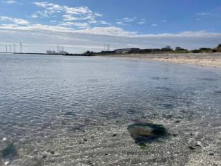 Charming Farmhouse Retreat - By Traum Ferienwohnungen - 2