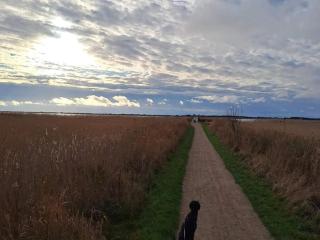 2 person holiday home in Ringkøbing - Ringkøbing - 2