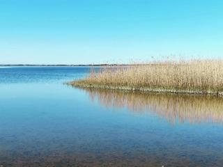 2 person holiday home in Ringkøbing - 2