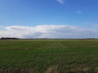 2 person holiday home in Ringkøbing - 3