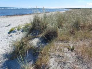 7 person holiday home in Jerup-By Traum - 1