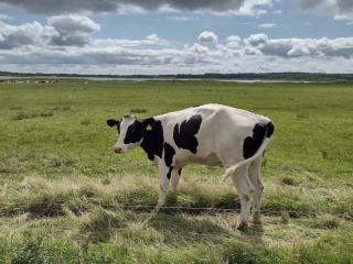 6 person holiday home in Løgstør-By Traum - 3