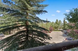 The Corral at Breckenridge 206S - 7