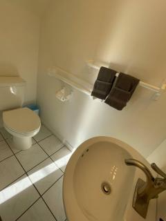 M Passion Flower - 1