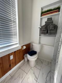 Delicate Scarlet - 1