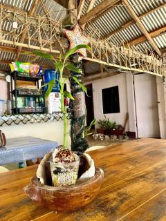 Villa Conchita - Esperanza - 9