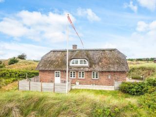 5 star holiday home in Ulfborg - Ulfborg - 0