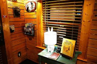 Wonderland Cabin - 4