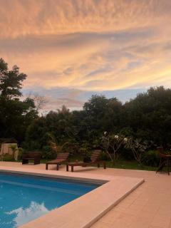 Jungle View Resort - 2