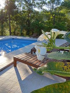 Jungle View Resort - 4