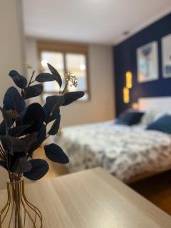 Cómodo apartamento a un paso del centro de Salamanca La Posada Charra 6 APART-37-278 - 8
