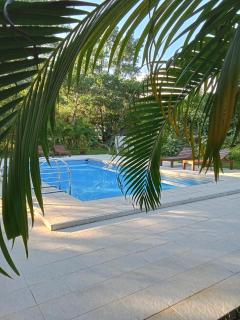 Jungle View Resort - 9