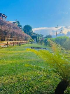 รักเขาอินทนนท์โฮมสเตย์ Doi inthanon Homestay - 1